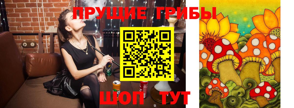 Псилоцибиновые грибы мухоморы  Псилоцибиновые грибы Cubensis  Вход с VPN  Старая Купавна 